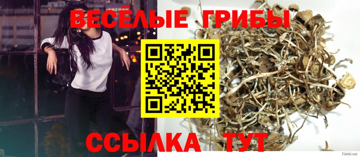 Галлюциногенные грибы MAGIC MUSHROOMS Вичуга