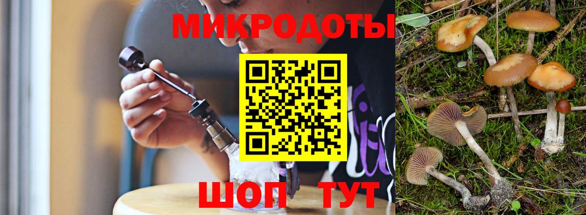 Галлюциногенные грибы Psilocybine cubensis  Вход с VPN  Вичуга  Галлюциногенные грибы мицелий 